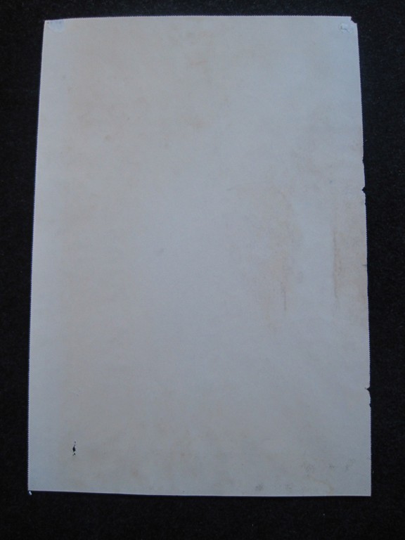 Frits Schiller 1886-1971 - "staand vrouwelijk naakt" pastel 1930 gesigneerd kopen? Bied vanaf 1!