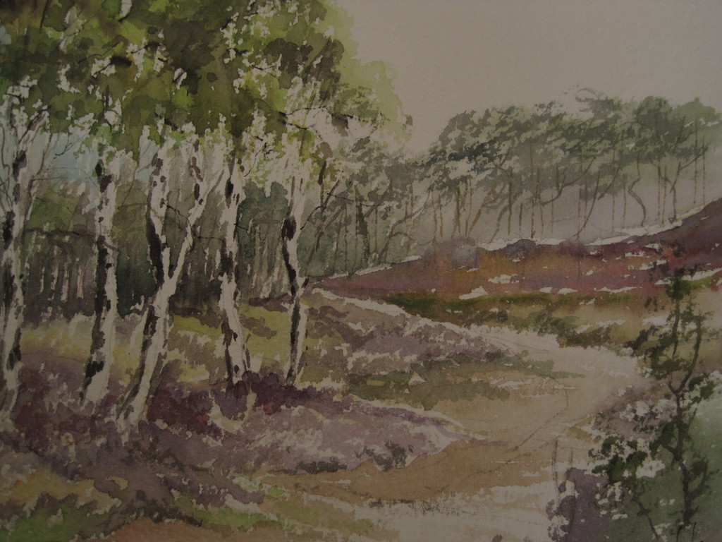 Magnifiek aquarel "Hollands Duinlandschap met berken en heide" gesigneerd kopen? Bied vanaf 1!