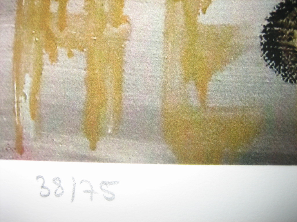 Paul Kostabi - "Petting Zoo" - Giclee - Handgesigneerd - Oplage: 75  kopen? Bied vanaf 30!