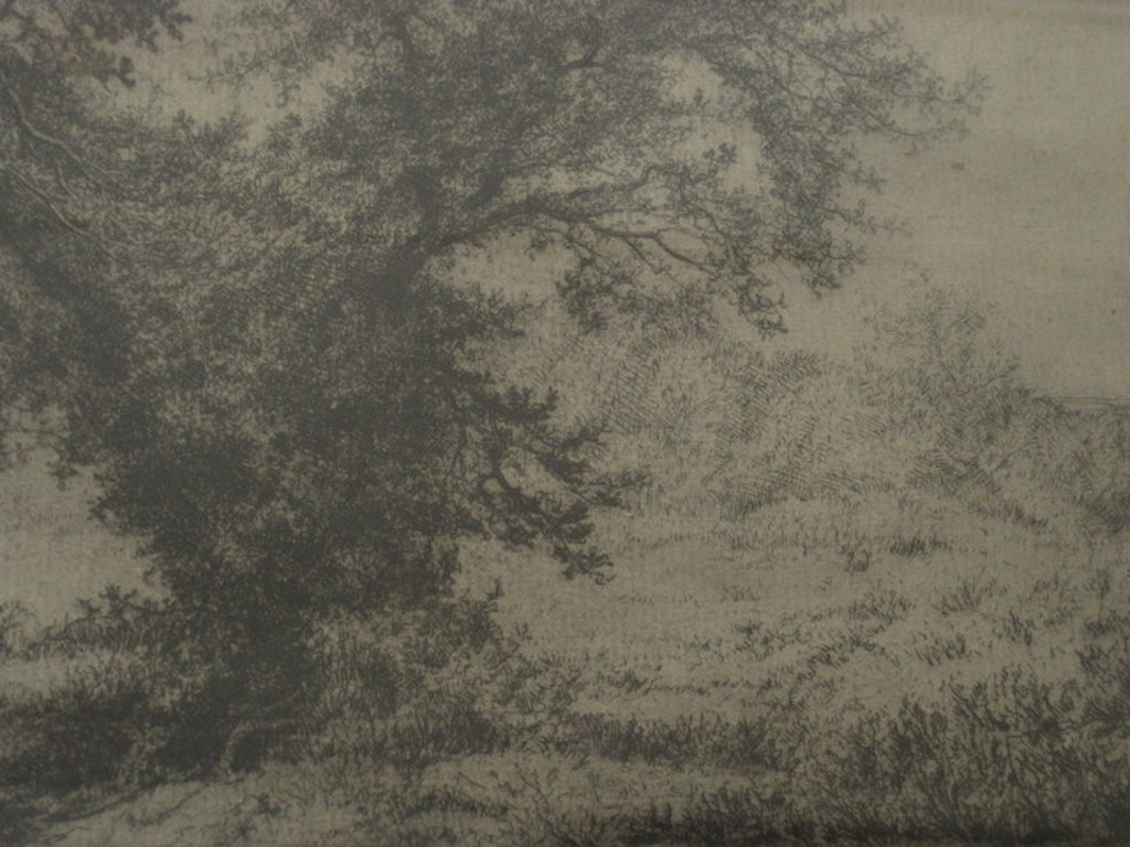 Originele J.C. Nachenius Ets "Duinlandschap met divi-divi boom" gesigneerd  kopen? Bied vanaf 1!