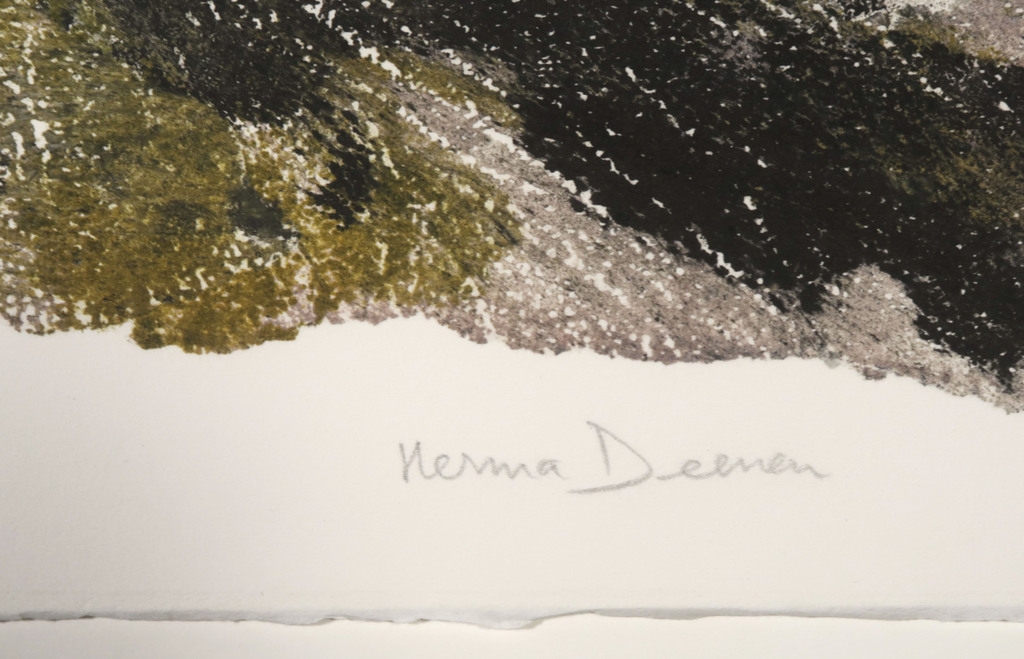 Herma Deenen: Polymeerdruk, Zonder titel I kopen? Bied vanaf 1!