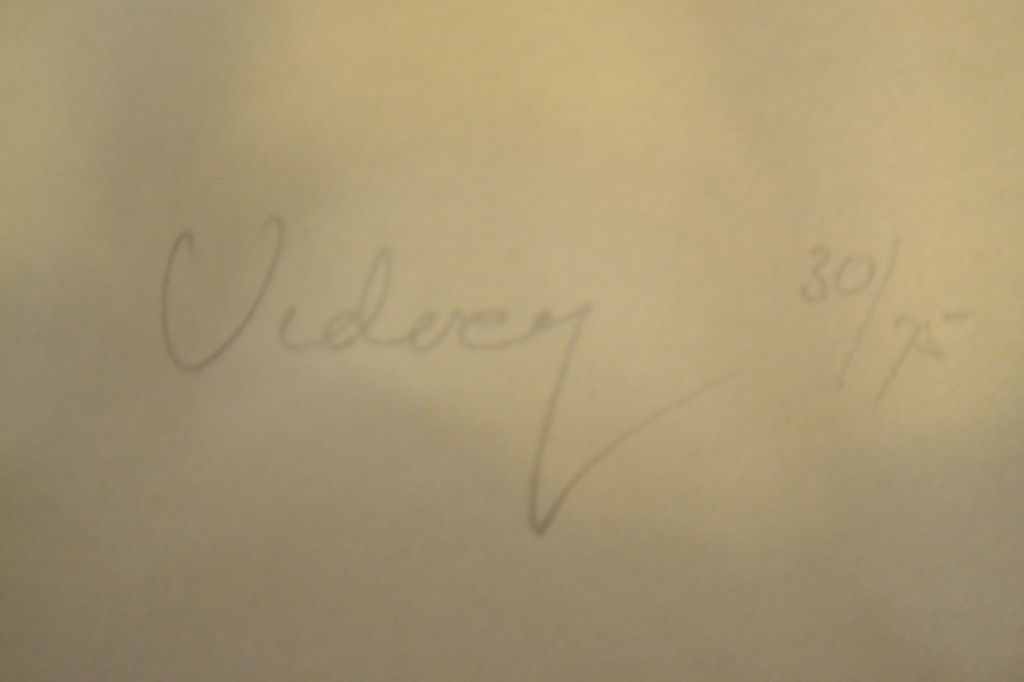 Dirkje Kuik, litho kopen? Bied vanaf 50!