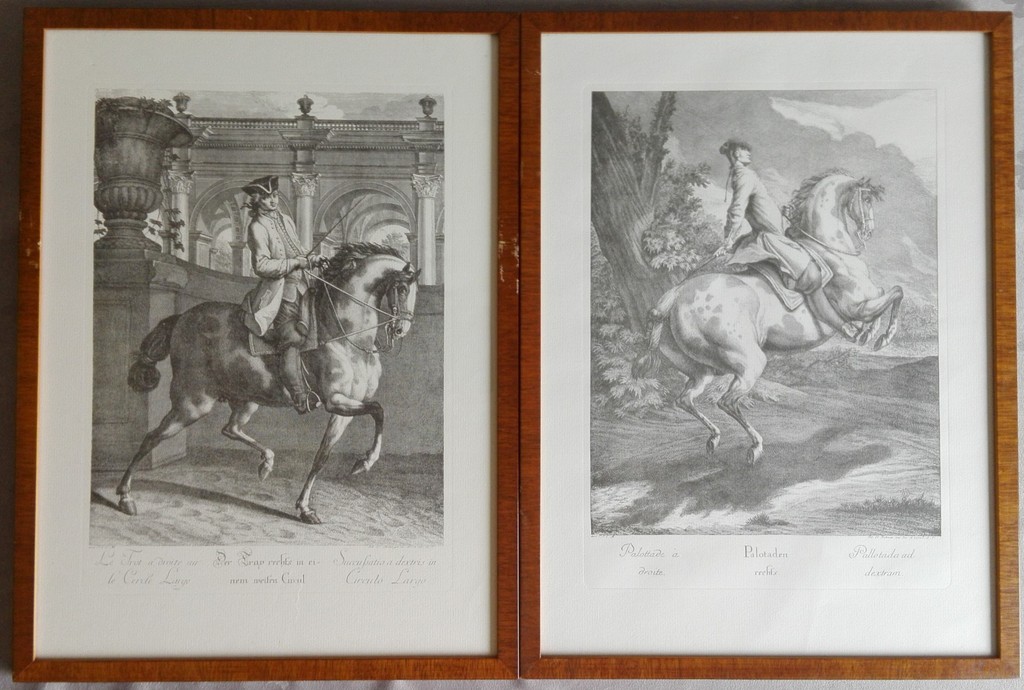 Johann Elias Ridinger: Kopergravure, 2 x Paardensport kopen? Bied vanaf 1!