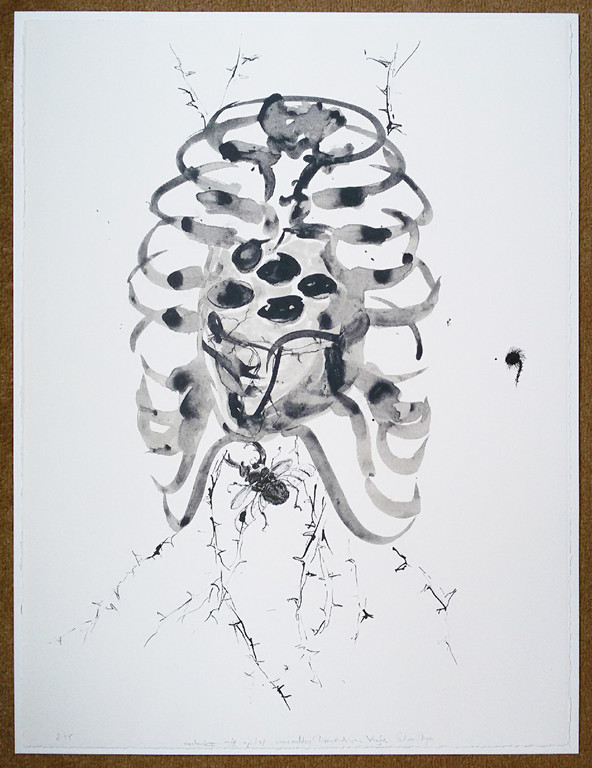 Marc Mulders, Paul van Dongen en Reinoud van Vught - Anatomie V, litho kopen? Bied vanaf 200!