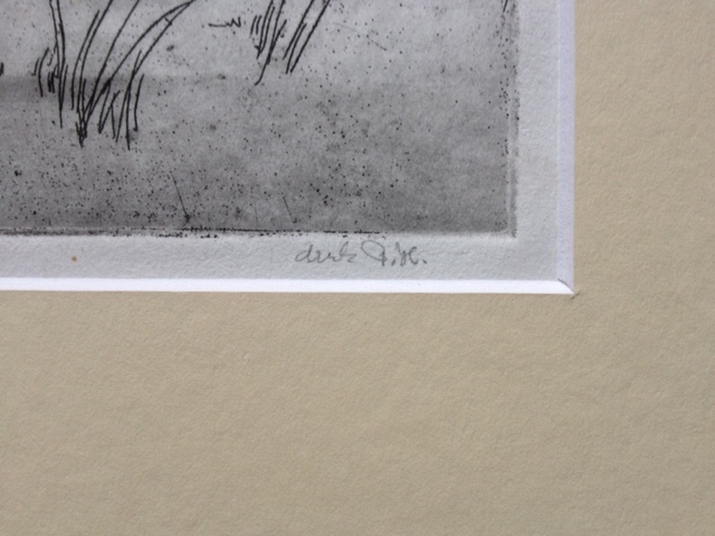 J.H. Hohmann, ets 'Biesbosch' kopen? Bied vanaf 15!