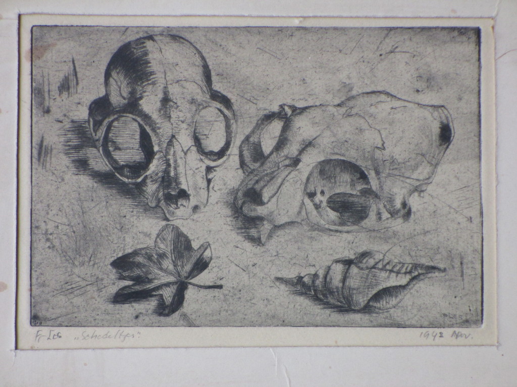 Freerk Los, Schedeltjes, Ets verkocht voor € 35!