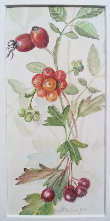 J. Paris - Bloemen en vruchten, 5x gemengde techniek (in passe-partout) kopen? Bied vanaf 40!