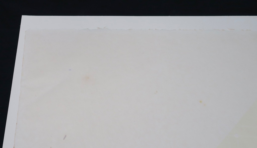 Geertjan van Oostende: Lino op Rijstpapier, Out the... kopen? Bied vanaf 1!