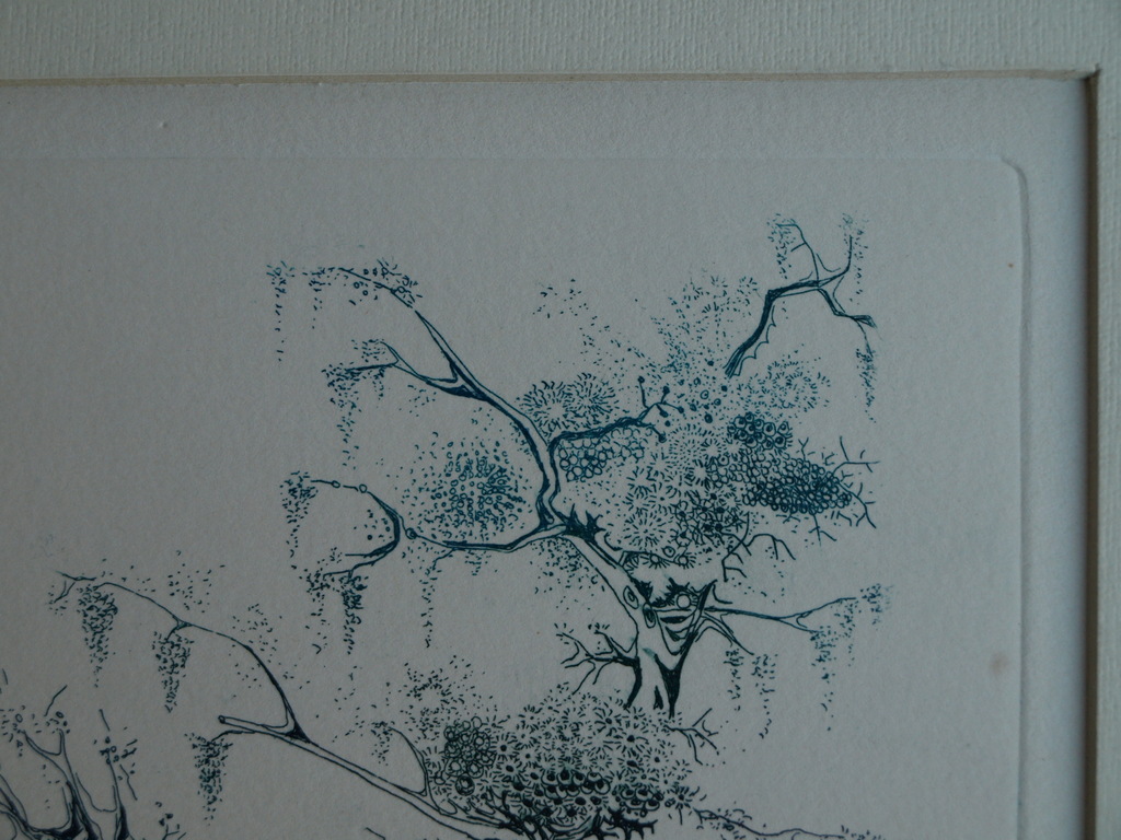 Kees de Ruijter : Ets , Wandbouquet – gesigneerd - 1982 kopen? Bied vanaf 10!