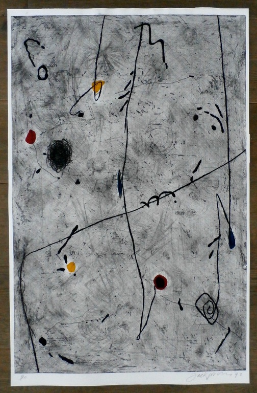 Jack Prins - grote ets - 1992 - oplage: 10 stuks kopen? Bied vanaf 75!