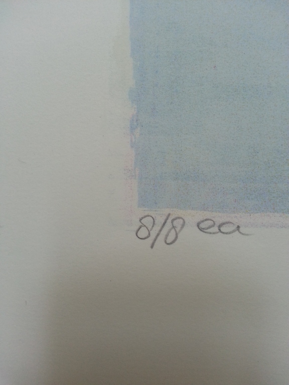 Ron van der Werf, zeefdruk op papier, titel:" Etude II" kopen? Bied vanaf 50!