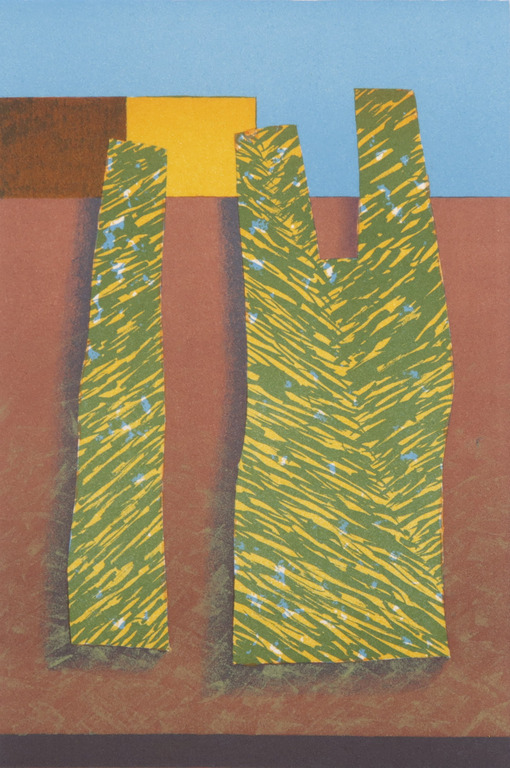 Erik Roos: Litho, Mantova IV kopen? Bied vanaf 1!