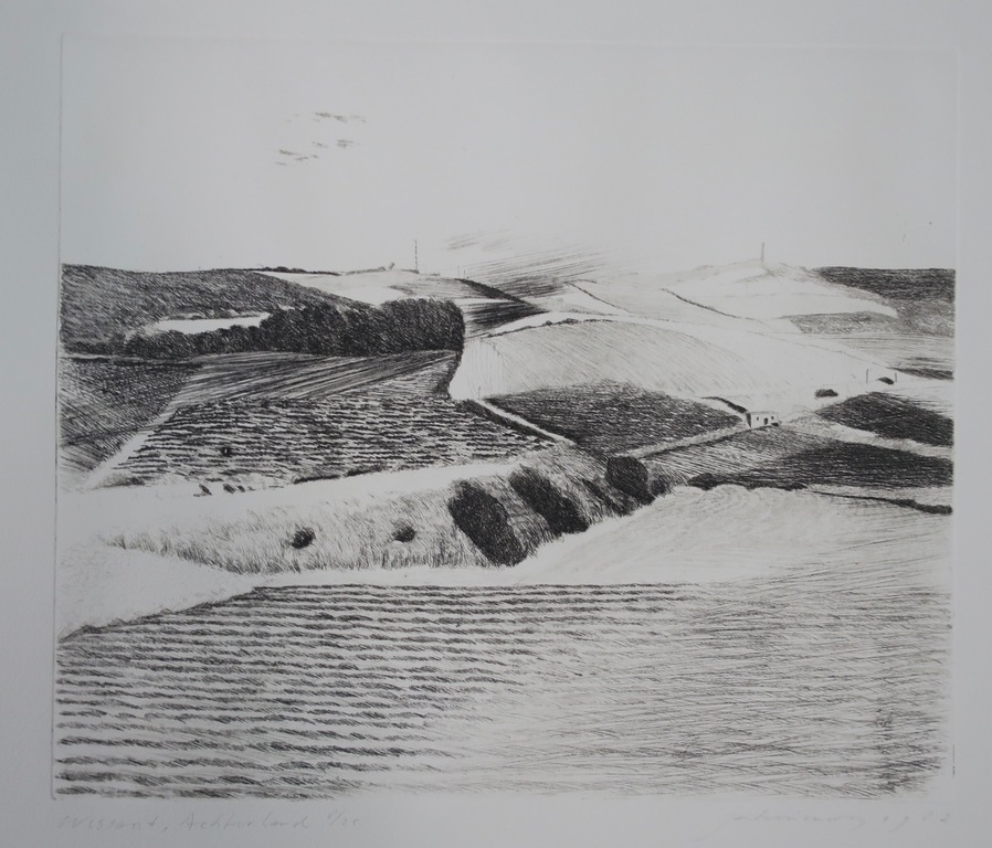 Jan Hein van Rooy: Ets, Wissant Achterland kopen? Bied vanaf 20!