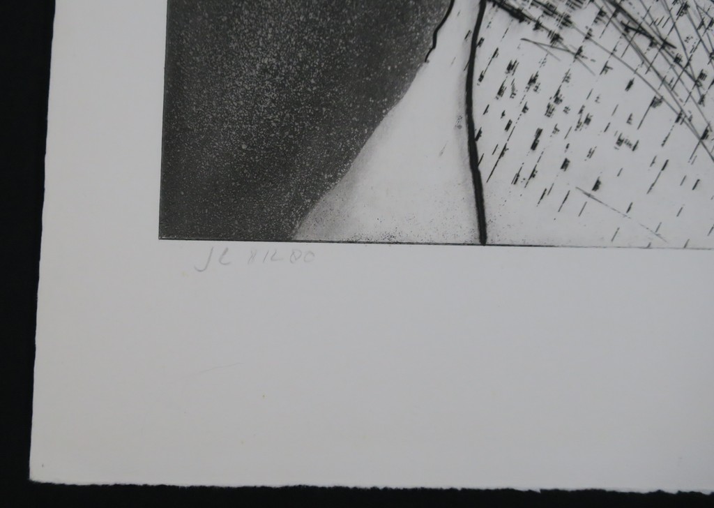 Coos Dieters: Ets en Aquatint, Z.T. kopen? Bied vanaf 1!