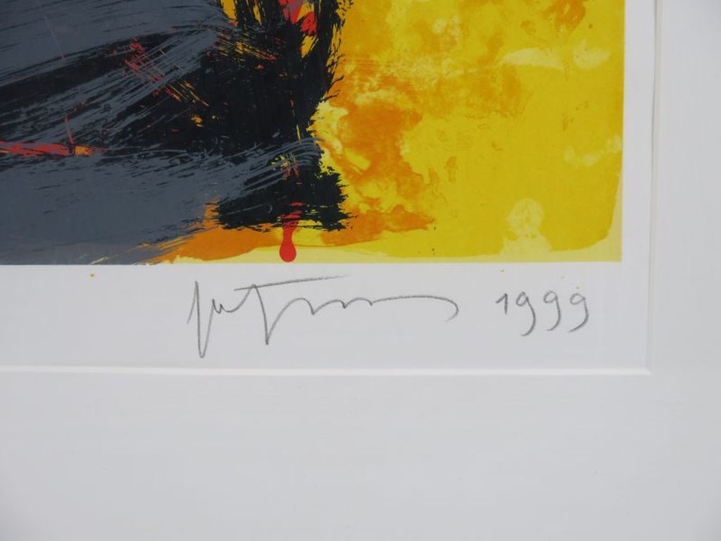 Robbert Fortgens, zeefdruk: Vlag langs de Douro I - ingelijst kopen? Bied vanaf 50!