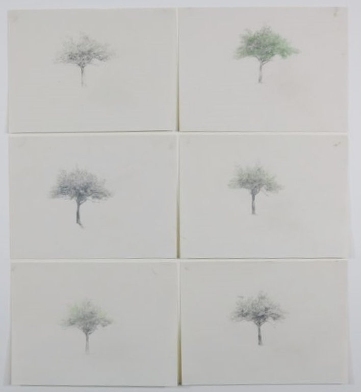 Eduard Flor: Zes tekeningen, Bomen verkocht voor € 50!