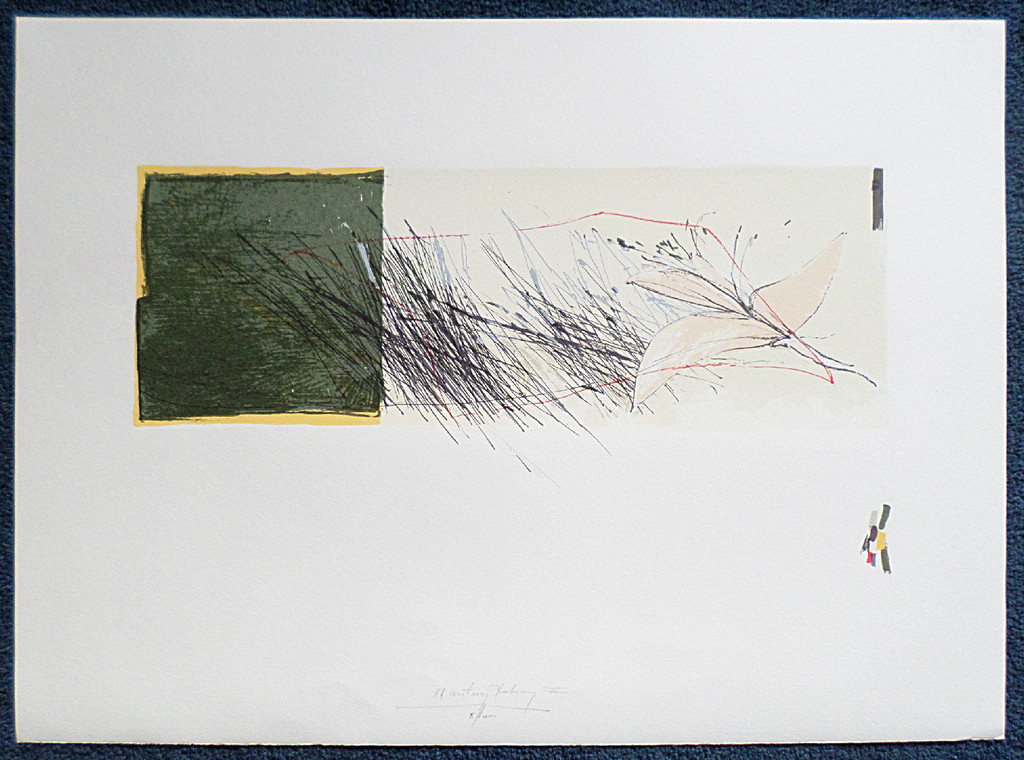 XX-century Botany, litho kopen? Bied vanaf 25!