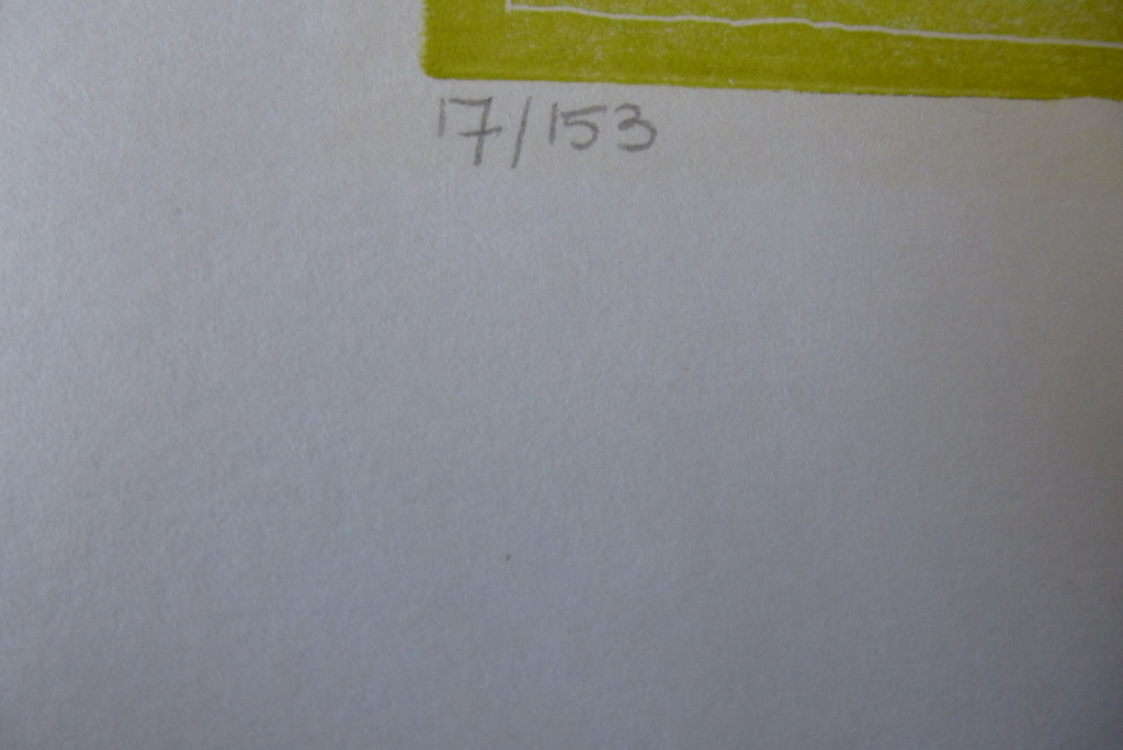 Onbekende kunstenaar, grafiek, handgesigneerd en genummerd kopen? Bied vanaf 1!