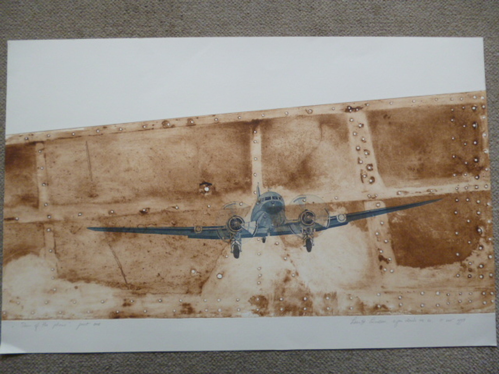 Leentje Linders - kleurenets - Skin of the plane - part one kopen? Bied vanaf 45!