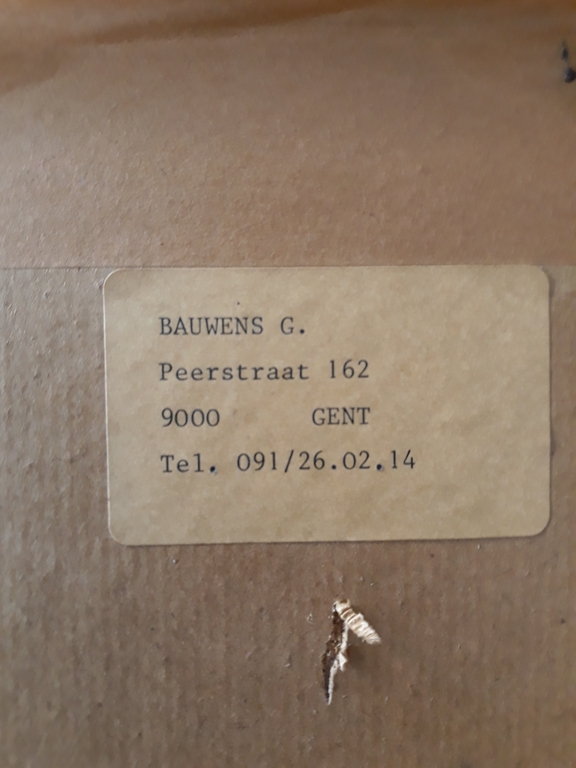 Gerard Bauwens, Tekening, Portret Dame kopen? Bied vanaf 1!