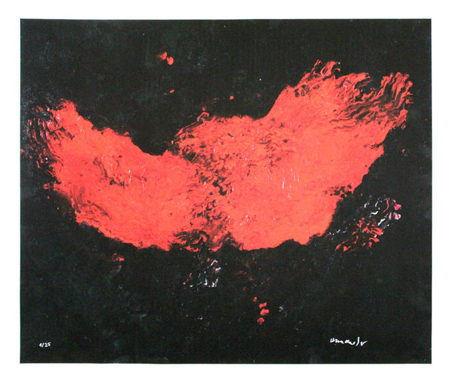 Armando -Flügel- Zeldzame Glicee op linnen. Handgesigneerd en Genummerd. 25/25 verkocht voor € 245!