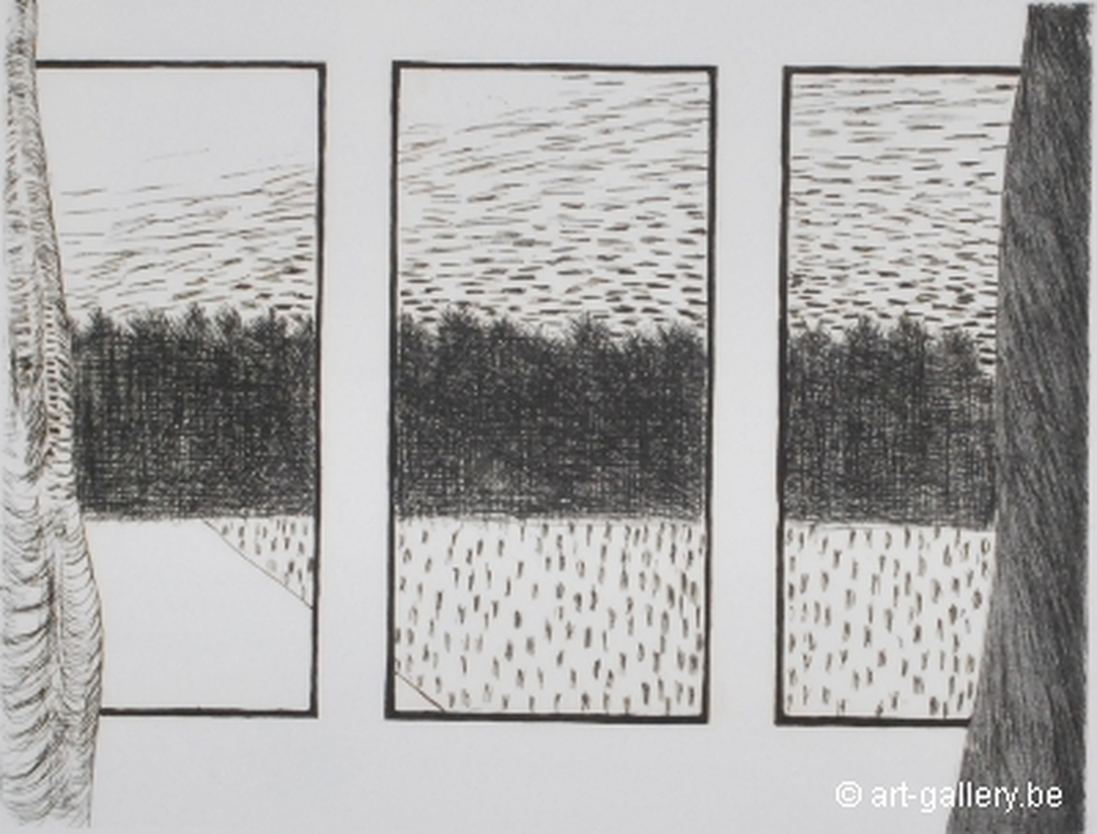 Raveel, ets, Driedelige Doorkijk kopen? Bied vanaf 500!