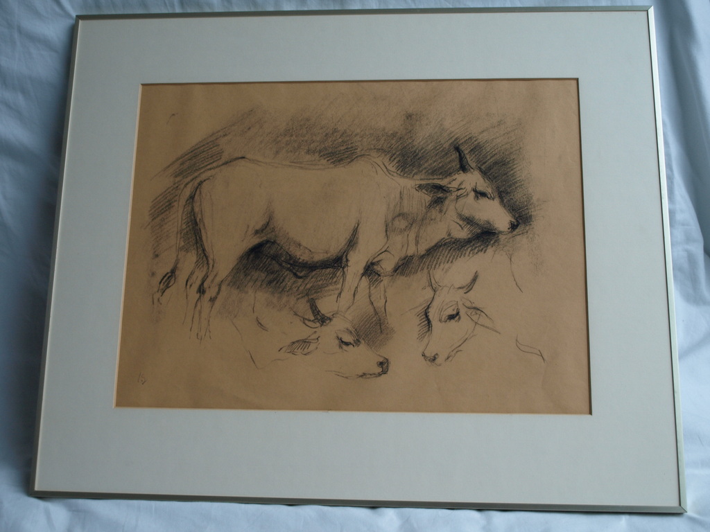 Jan Groenestein : Tekening , Koeien – gesigneerd & ingelijst – ca 1960 kopen? Bied vanaf 50!