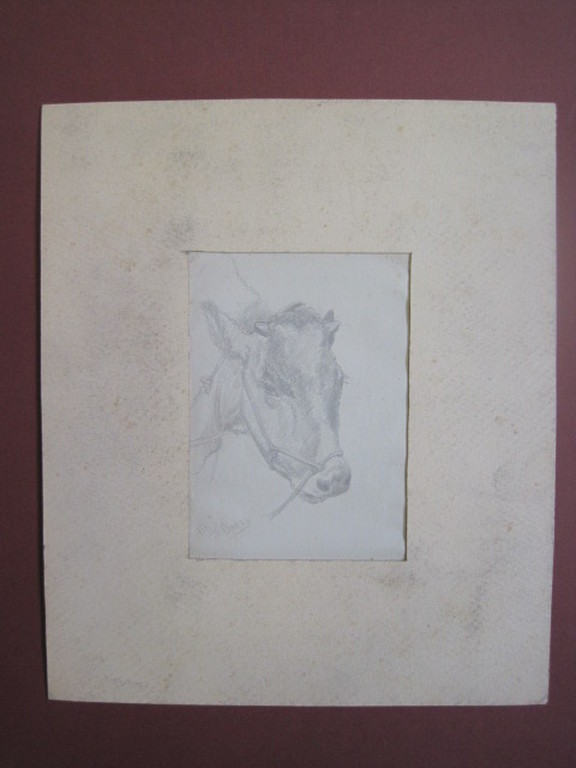 Frans Boers 1914-1987 tekening "Koe" ca. 1950 Laren  kopen? Bied vanaf 1!