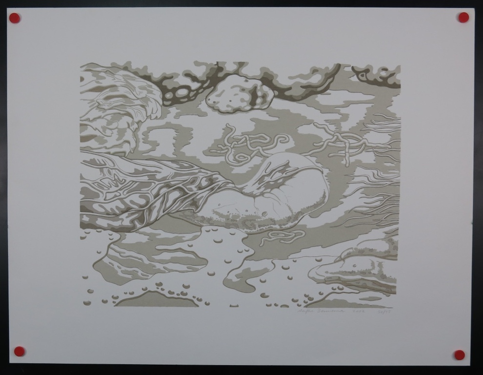 Aafke Bennema: Zeefdruk, Branding kopen? Bied vanaf 1!