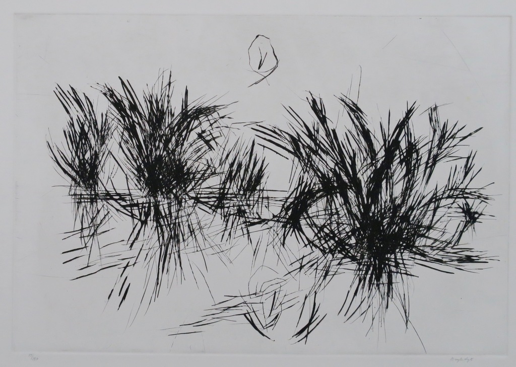 Anton Buytendijk: Droge naald, Compositie kopen? Bied vanaf 20!