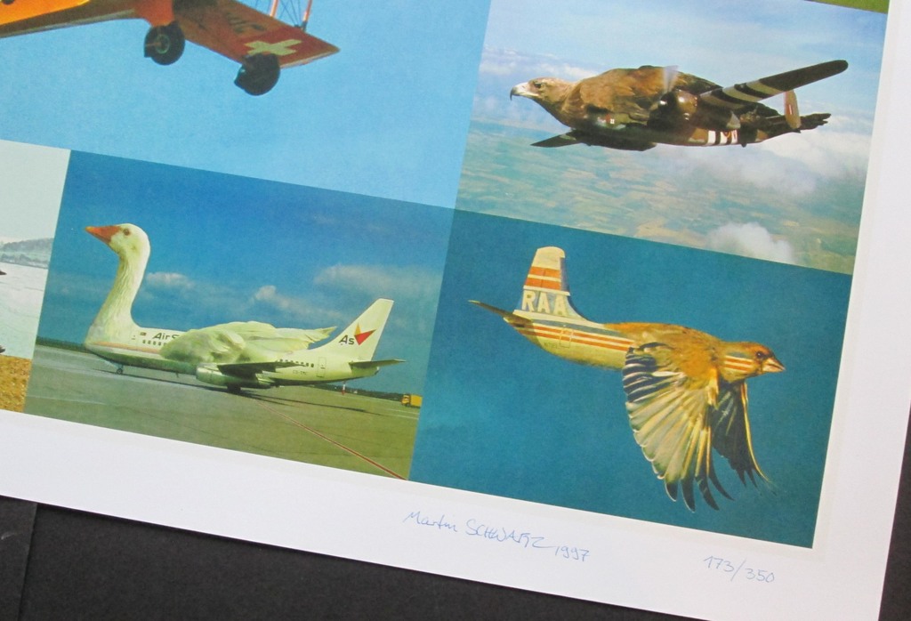 Martin Schwarz - Vogelvlieger - kleuroffsetlithografie - handgesigneerd kopen? Bied vanaf 25!