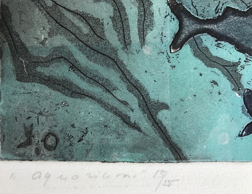 Jeanne Bieruma Oosting - Aquarium - Kleurenets kopen? Bied vanaf 105!