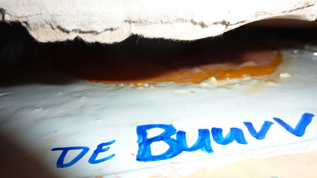 De Buuvv kopen? Bied vanaf 1!