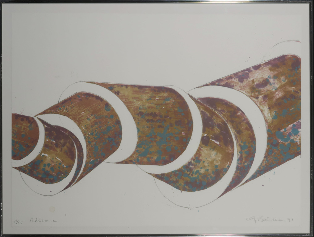 Sjoerd Buisman: Litho, Rhizome - Ingelijst verkocht voor € 95!