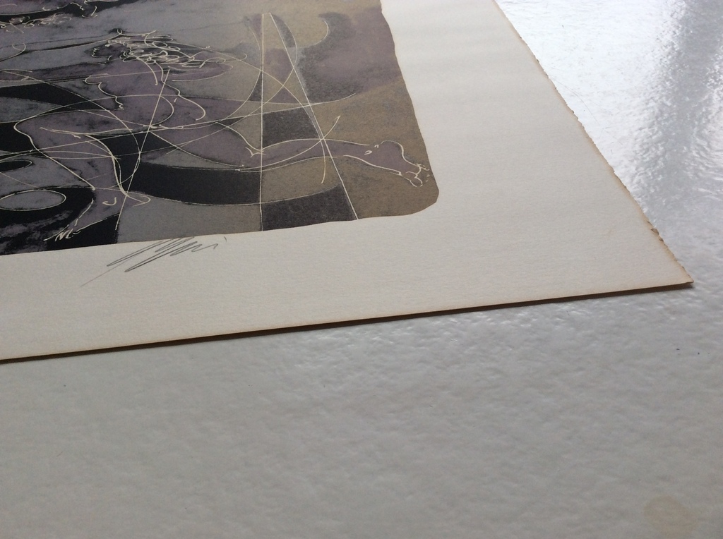 Hans Erni, lithografie, 1972 kopen? Bied vanaf 195!