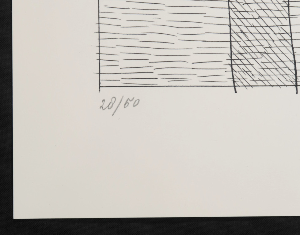 Jan Schoonhoven: Zeefdruk, Vorm kopen? Bied vanaf 350!