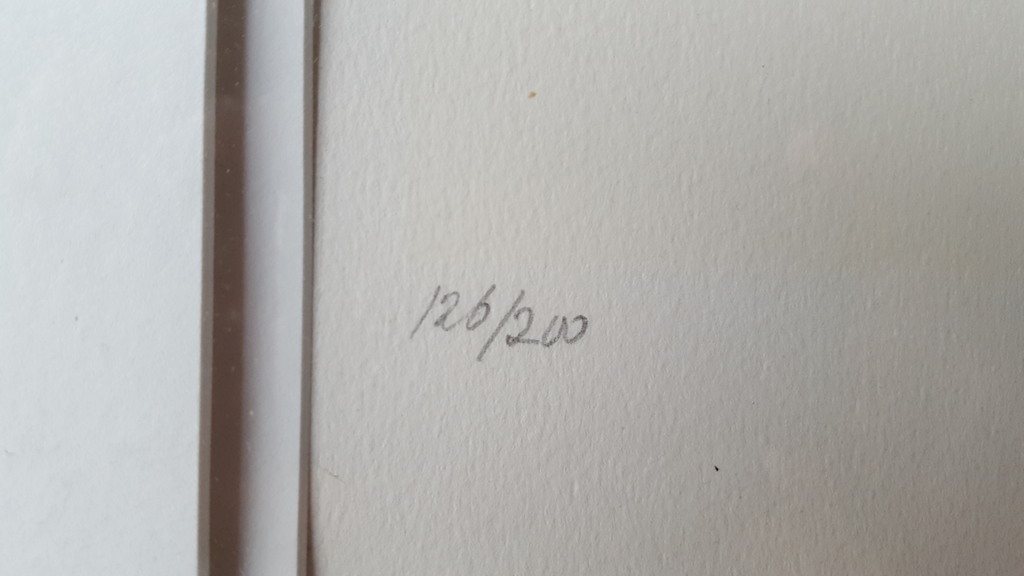 Kees Salentijn - zeefdruk 126/200, gesigneerd (groot) kopen? Bied vanaf 1!