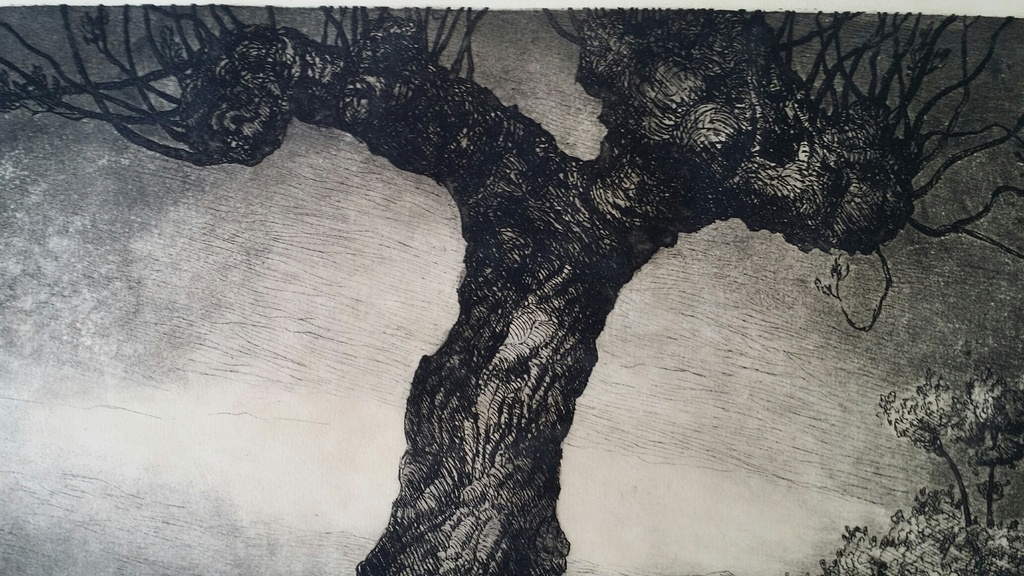 Ets, knotwilg, Chris van der Woerd, gesigneerd kopen? Bied vanaf 1!