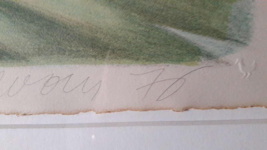 JP de Vroom ., kleur litho , Palm IiI kopen? Bied vanaf 65!