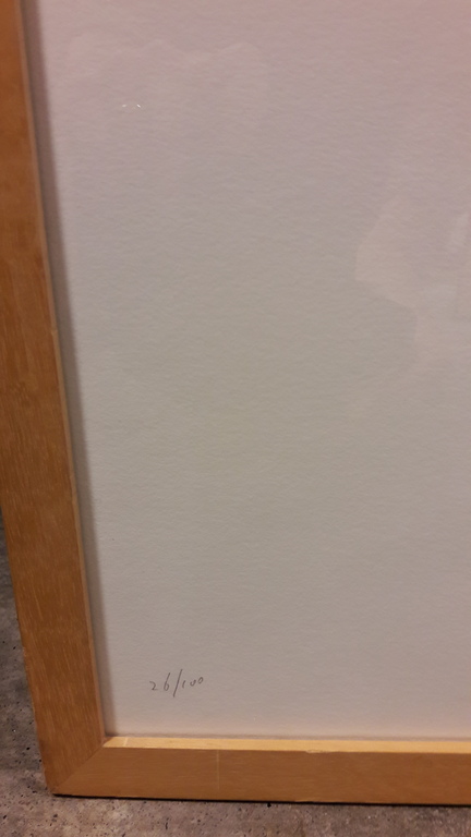 H Visch , zeefdruk , gesigneerd kopen? Bied vanaf 125!