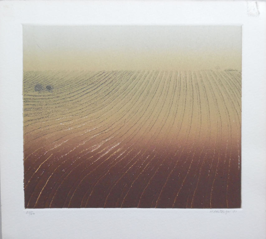 Kleurenets van Henk Kastelijn - Akkerland kopen? Bied vanaf 45!