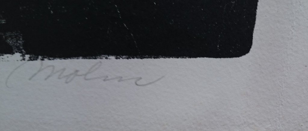 Lei Molin z.t. kopen? Bied vanaf 1!