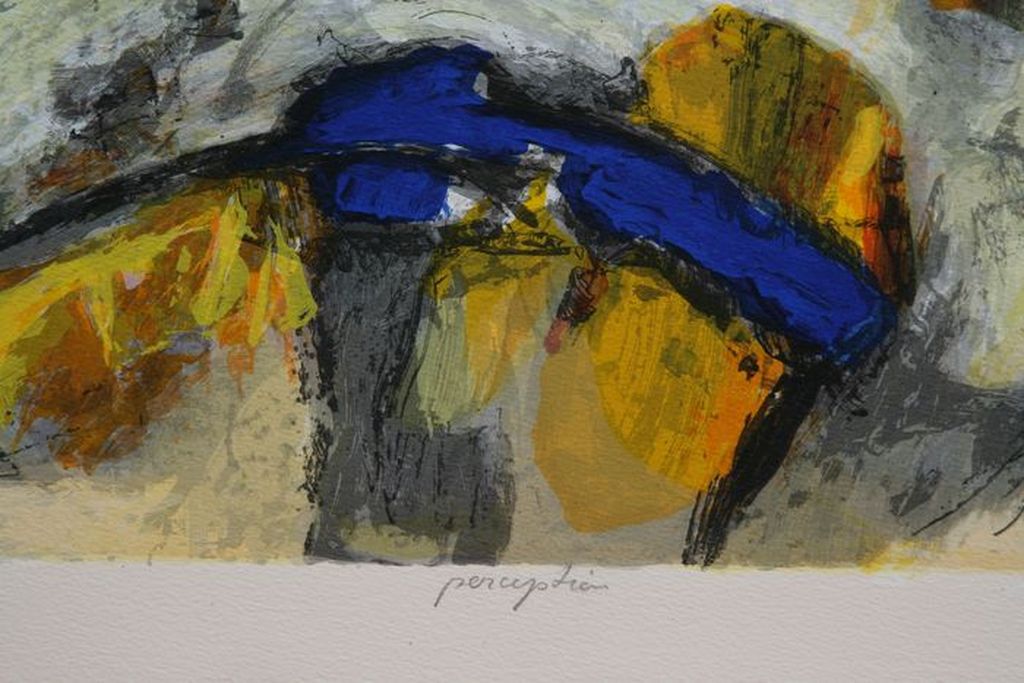 HANS VANHORCK Zeefdruk PERCEPTION INGELIJST kopen? Bied vanaf 110!