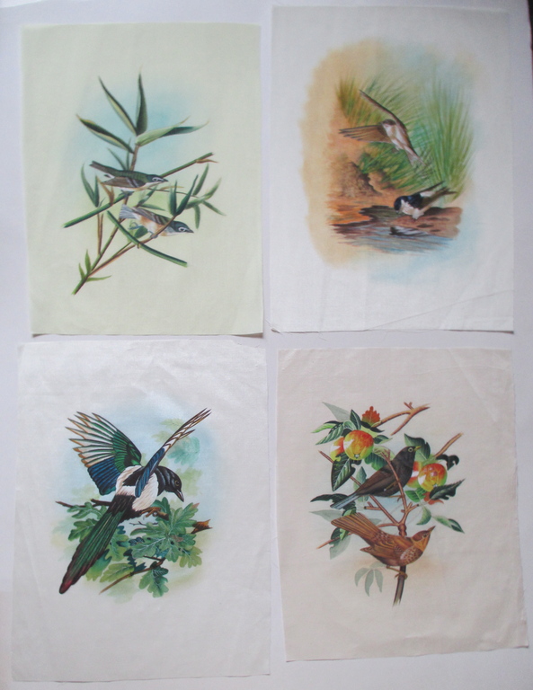 4x Handbeschilderde zijden doek; Vogels kopen? Bied vanaf 15!