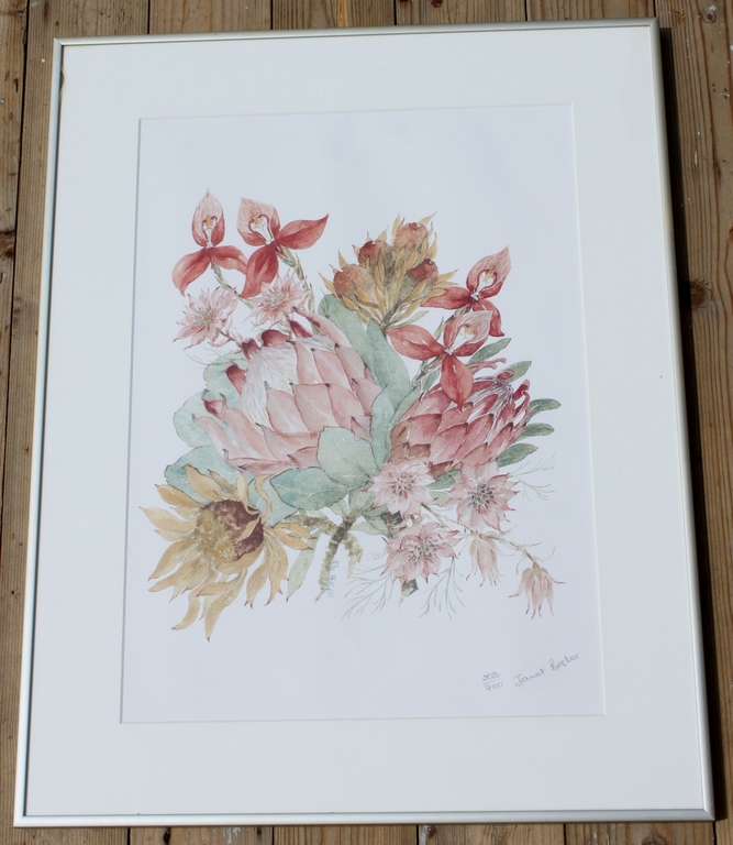 Janet Bester: Litho, flowers kopen? Bied vanaf 30!
