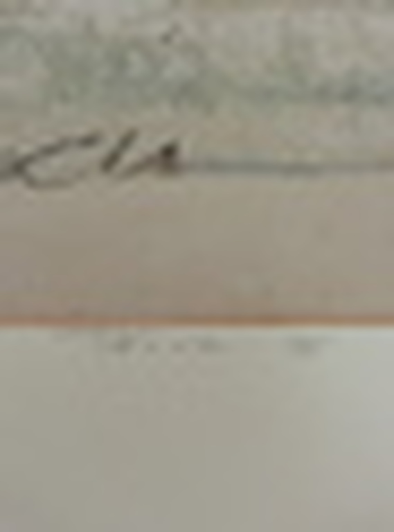 Ron van der Werf, Zeefdruk op papier, Titel:  kopen? Bied vanaf 50!