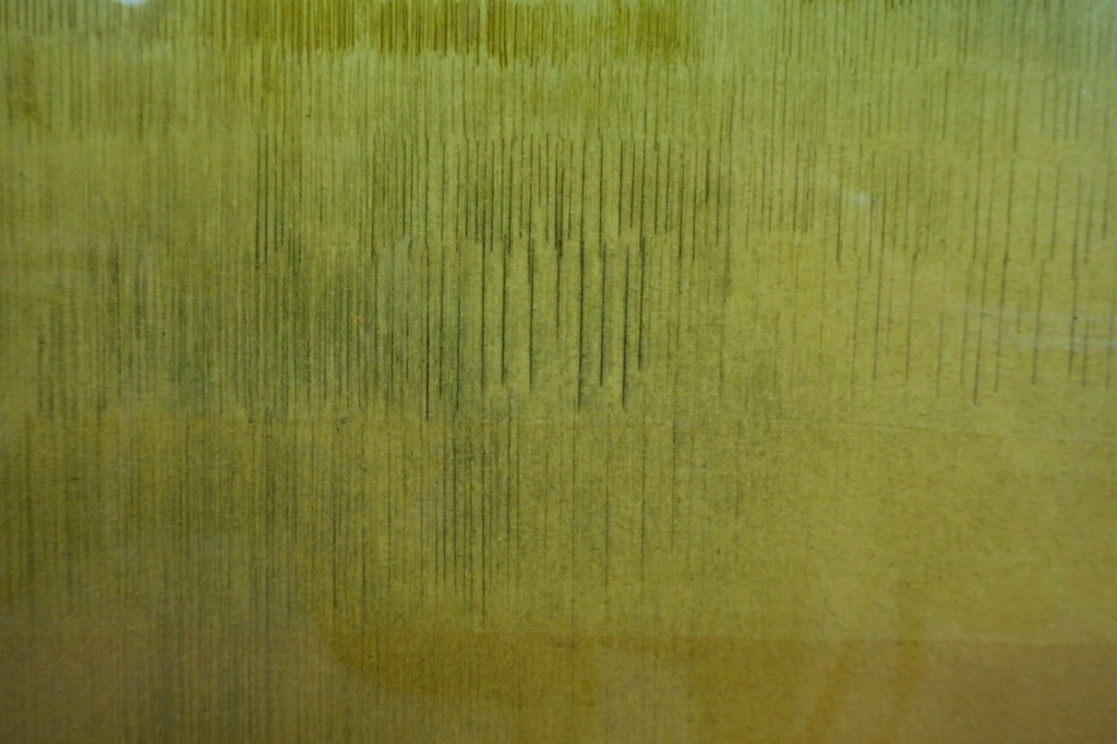 Lydia Oerlemans: Ets, Velden III - Ingelijst kopen? Bied vanaf 50!