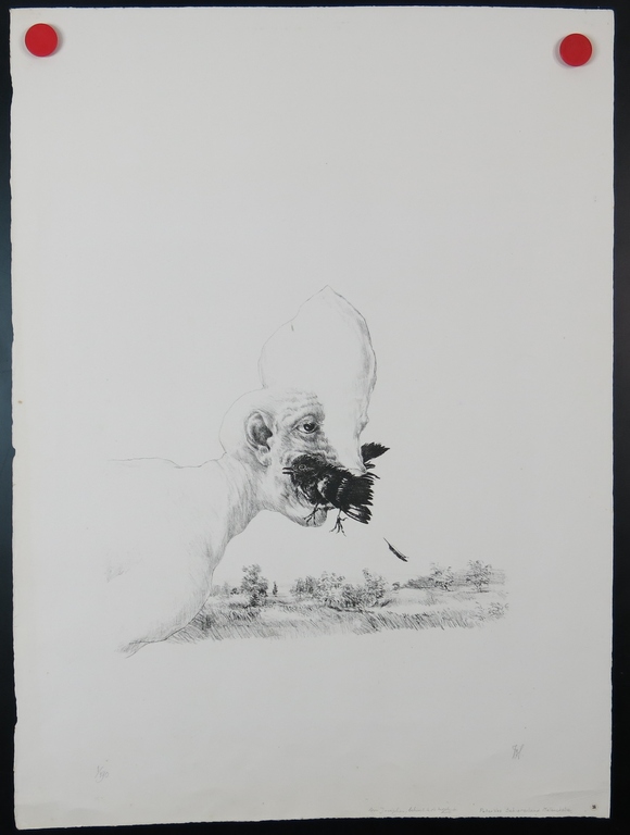 Peter Vos: Litho, Schiereiland Melancholie kopen? Bied vanaf 60!