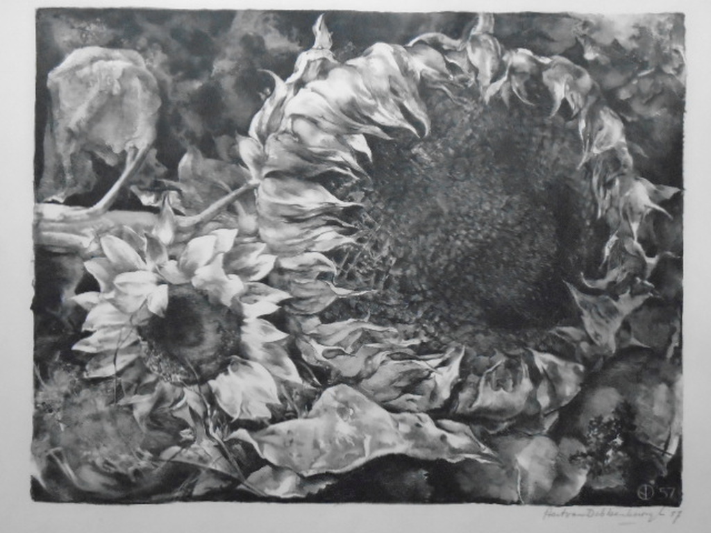 Aart van Dobbenburgh - litho - Zonnebloem verkocht voor € 45!