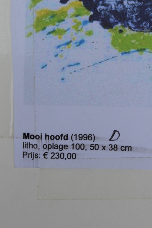 Jef Diederen (1920-2009)- gesigneerd litho - opl. 100 ex. -1996 -galerie Schoots kopen? Bied vanaf 25!